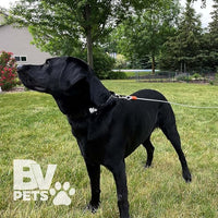 BV Dog Tie Out Cable 25 Feet - Heavy Duty Dog Lead up to 90 Pounds - Reflective & Rust-Free with Quick Release Swivel Clips & 360° Rotating Clasp - Tangle-Free Dogs Runner for Yard (Silver, Single)
