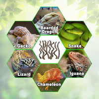 Reptile Decor 3PCS Natural Forest Branch Terrarium Habitat Decoration - XL: 8PCS (16IN) - image 3