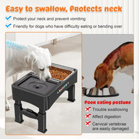 3-in-1 Elevated Dog Bowls with 4 Height Adjustable Raised Stand – Essentials for Dogs - Black / 2-in-1 Dog Bowls Set - image 3