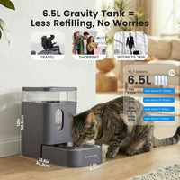 2.2 Gallon Automatic Dog Water Dispenser with Stainless Steel Bowl – Essentials for Dogs - Grey / 1.7 Gallon - image 2