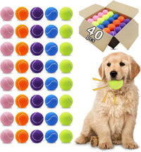 Magicorange Dog Tennis Balls - Multicolor / 40 Pack