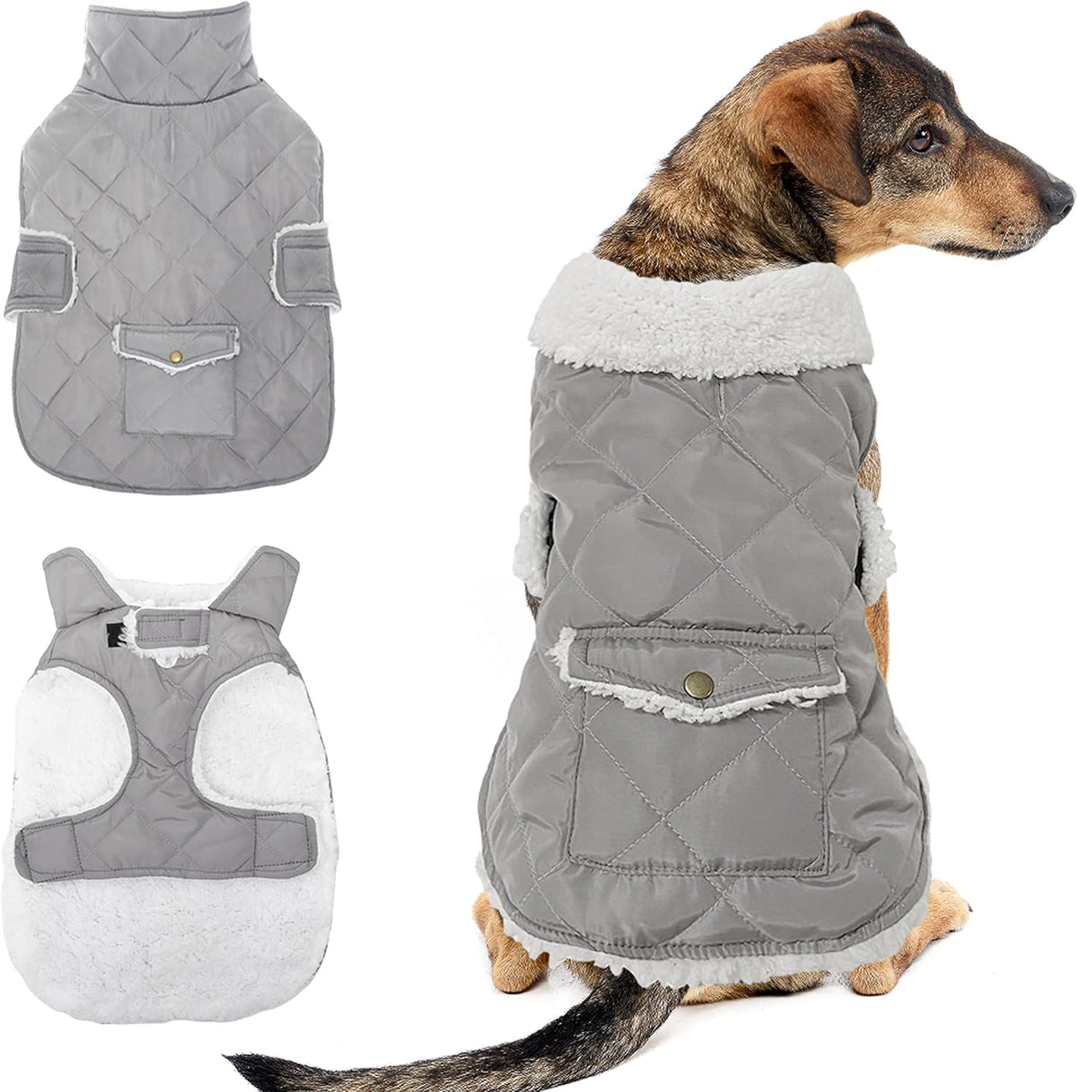Dog Winter Coat for Cold Weather - Grey / Medium