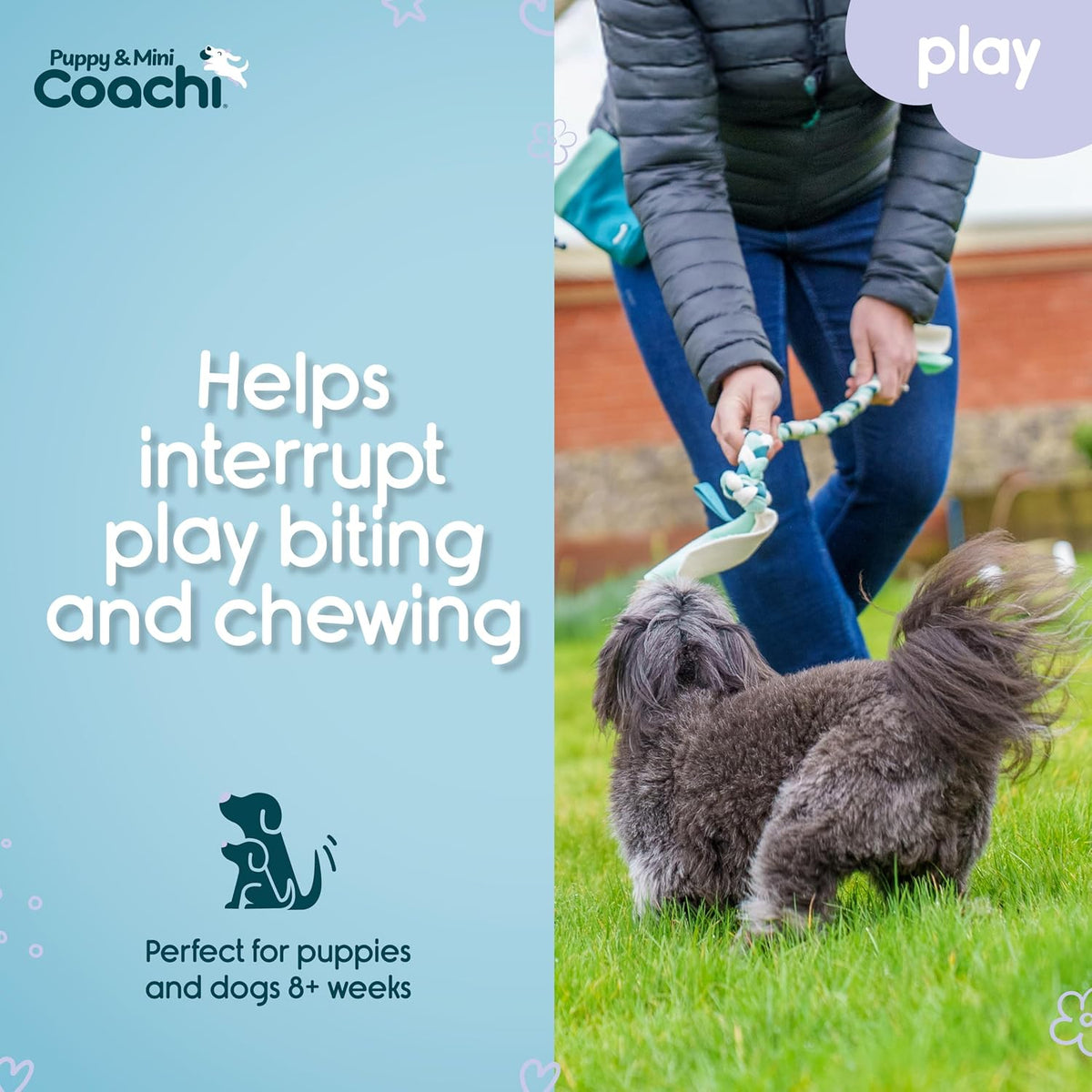 Coachi Puppy & Mini Tuggi Tug, Dog Toy for Tug of War & Play - Tuggi Tug - image 3