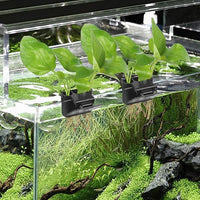 4Pcs 3 Holes Upgraded Aquatic Plant Cup Aquarium Plant Holder for Tank, Hanging Aquarium Plant Holder, Aquarium Aquatic Plant Cultivation, Aquarium Plant Decoration.