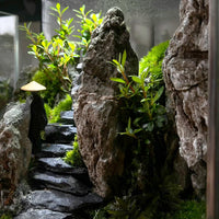 Natural Rocks Seiryu Stone 1-2.5 Inches Decorative Stones for Fairy - Slate Stone / 2lb(1-2.5Inch) - image 3