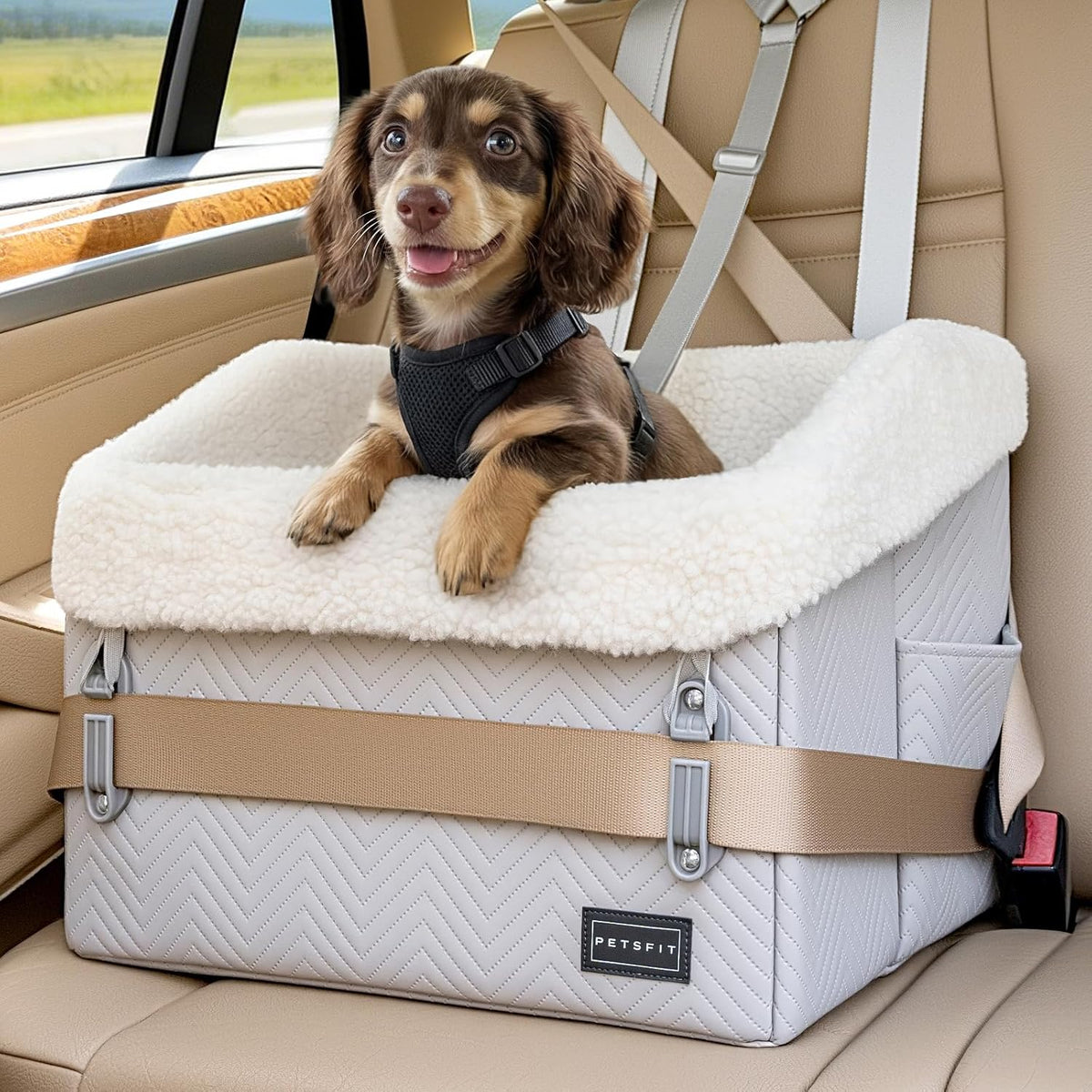 PETSFIT Small Dog Car Seat - Grey