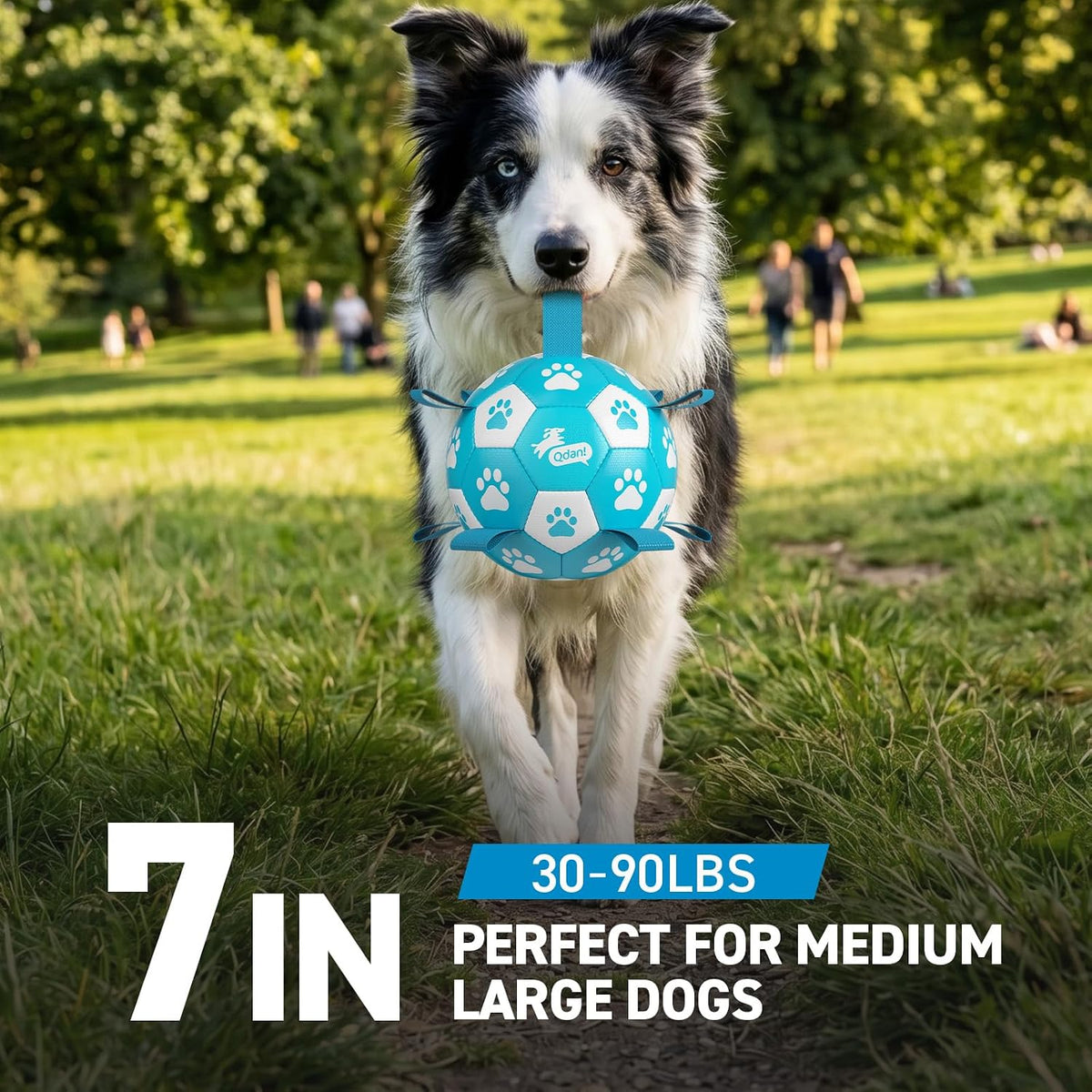 QDAN Dog Balls, Outdoor Dog Toys - Large Size 3 / Light Blue - image 2