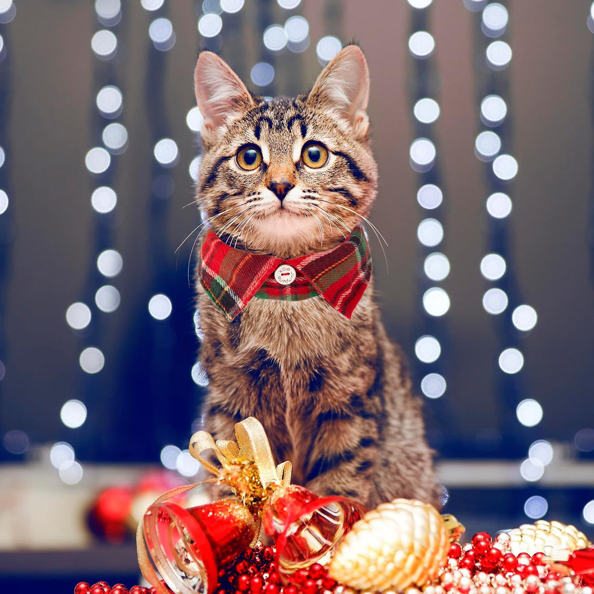 Two Christmas cat collars with bow ties and bells, red and green plaid - view 4