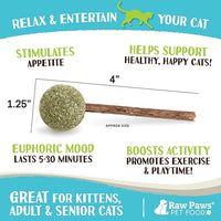Raw Paws Catnip & Silvervine Lollipops Interactive Cat Toy (6 Pack) - Silvervine Sticks for Cats - Catnip Ball Toy - Fresh Cat Nip - Silver Vine Dental Sticks