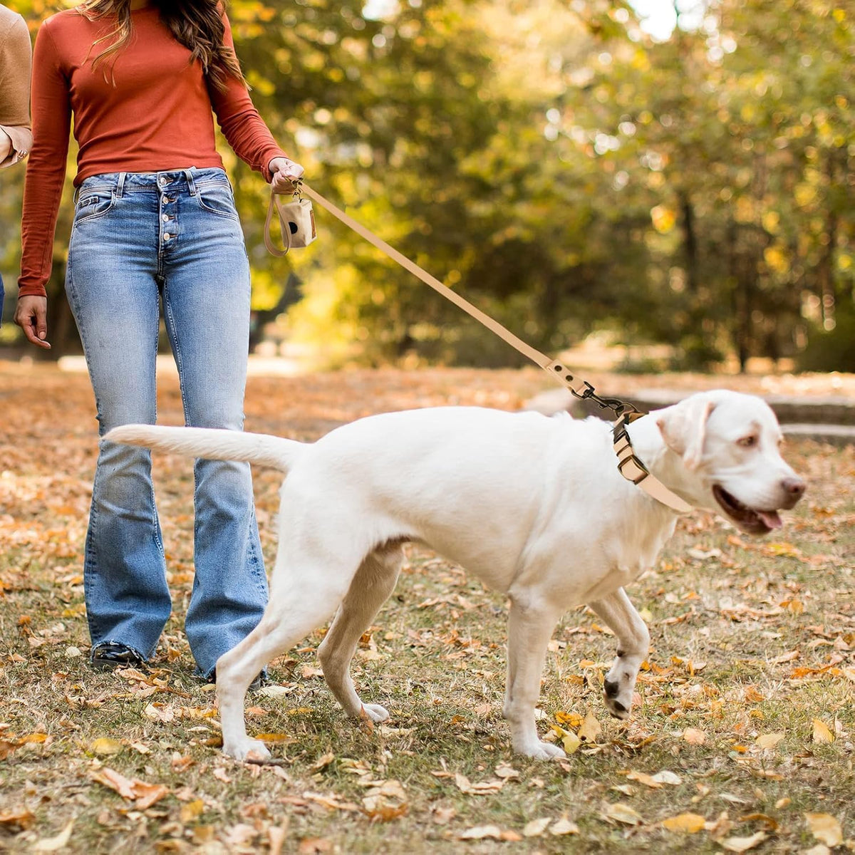 Wisedog Rubber Dog Collar with Quick Release, XS 8.5"-12" - Sand Color / S(Collar:10"-14";Leash:4 ft) - image 3