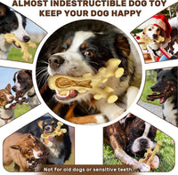 2 Pack Dog Chew Toys for Aggressive Chewers - image 4
