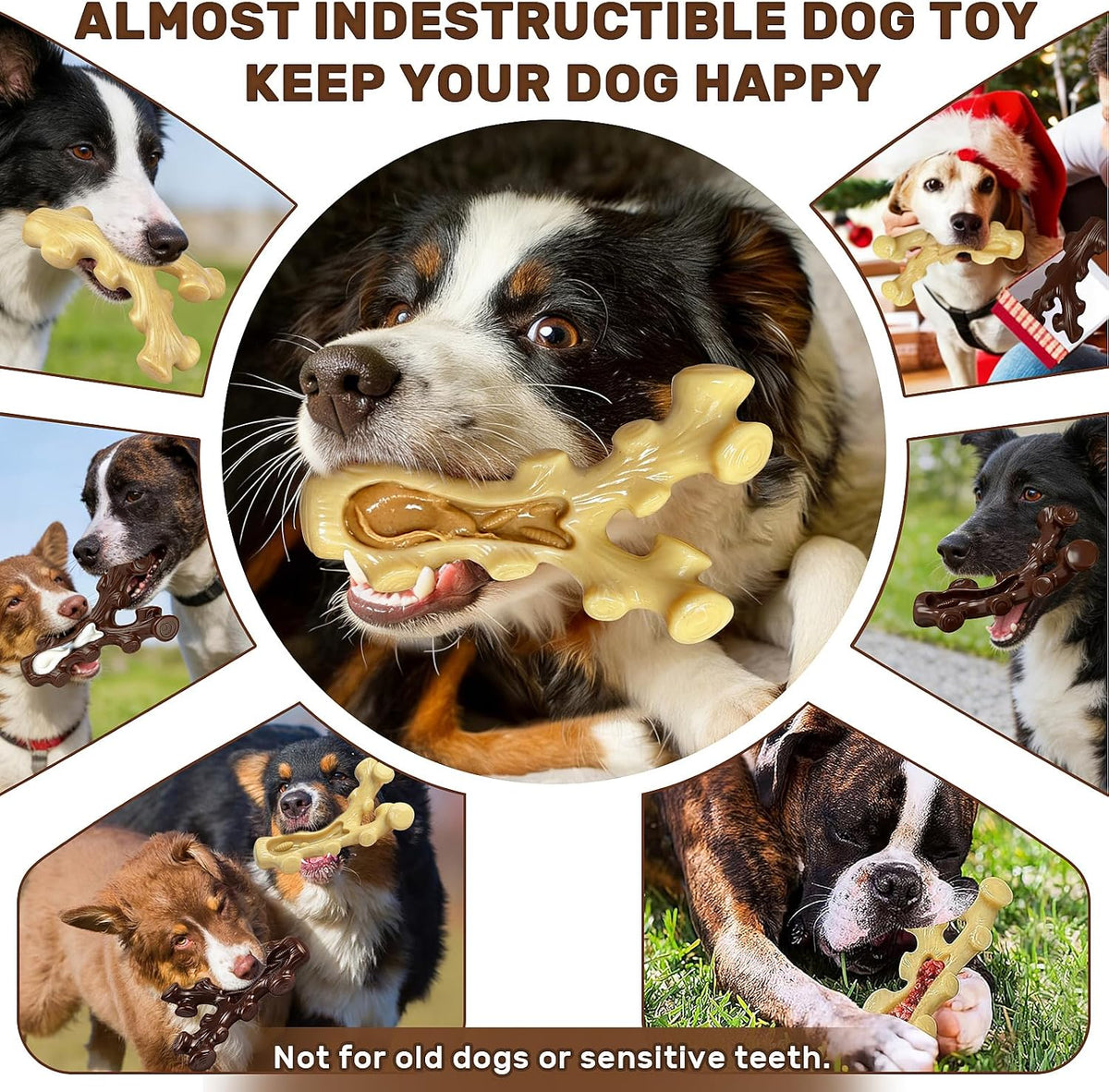 2 Pack Dog Chew Toys for Aggressive Chewers - image 4