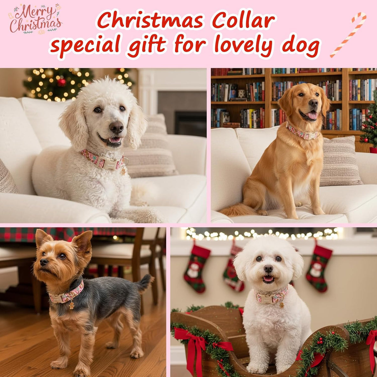 Medium Dog Collars for Male Dogs - Gingerbread on Blush / M - image 2