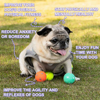 Automatic Dog Ball Launche with 9 Balls – Essentials for Dogs - BALL 12 PCS - image 2