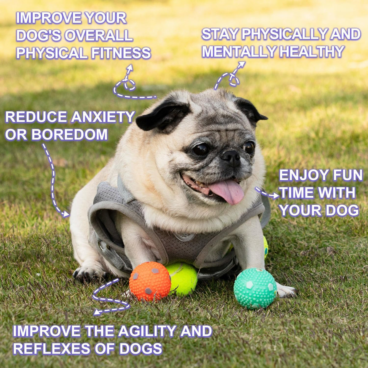 Automatic Dog Ball Launche with 9 Balls – Essentials for Dogs - BALL 12 PCS - image 2