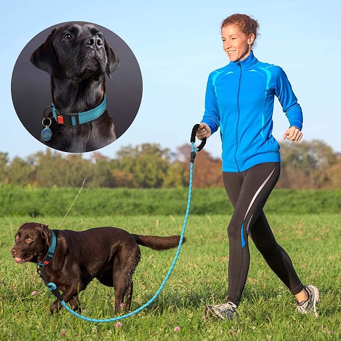 Heavy Duty Dog Leash - Comfortable Padded Handle, 5 ft Long - Dog Leashes for Small Medium Large Dogs (Leash+Collar L Neck 20"-25", Purple)