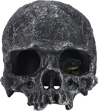 Resin Reptile Hideout for Tank Realistic Skull Decor for Terrarium - Black