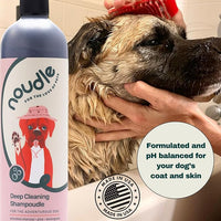 Pets - Revitalizing 2-1 Shampoudle, 16oz, Moisturizing and Gentle All Natural pet Shampoo with Spearmint, Cedarwood, Eucalyptus, and Oatmeal