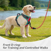 PHOEPET Upgraded No Pull Dog Harness, Reflective Adjustable Vest – Essentials for Dogs - Red / Small - image 3