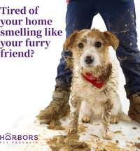 Harbor's pet cologne spray in fresh baby powder fragrance for dogs and cats - view 3
