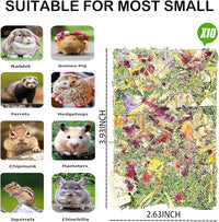 Rabbit Toys 10 Pack Bunny Toys Bunny Chew Toy Guinea Pig Treats Timothy Hay Toy Chips with Herbal Flowers Timothy Hay Grass Hamster Snacks Chinchillas Gerbils for Small Animals Teeth
