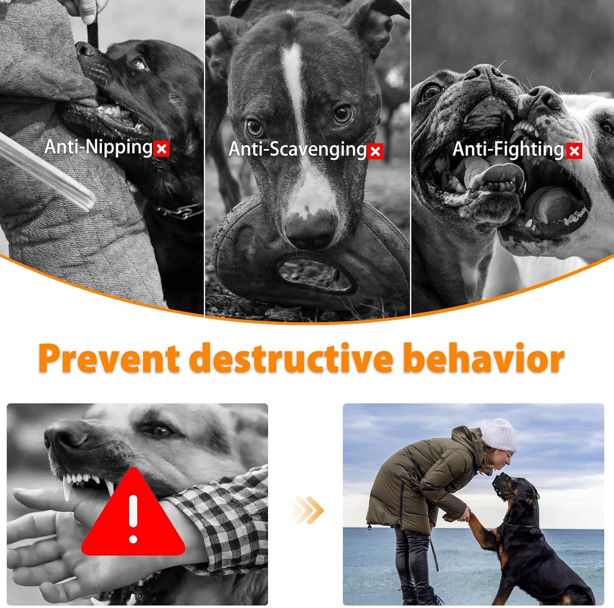 Pitbull Dog Muzzle for Large Medium Dogs Prevent Biting Scavenging – Essentials for Dogs - Black / L [Snout Cir: 11.5"-13"] - image 2
