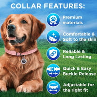 Reflective Neoprene Padded Dog Collar with Quick Release Buckle – Essentials for Dogs - Pink / X-Large - image 3