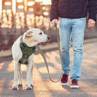 No Pull Dog Harness for Medium Dogs - Army Green / L - image 2