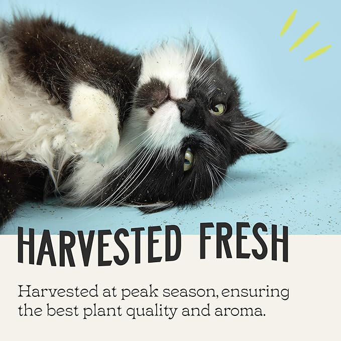 Catnip, All Natural Premium Catnip (4 oz Thick Cut)