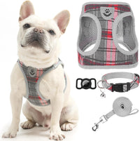 EXPAWLORER Plaid Small Dog Harness and Leash Set with AirTag Holder - Grey / XX-Small
