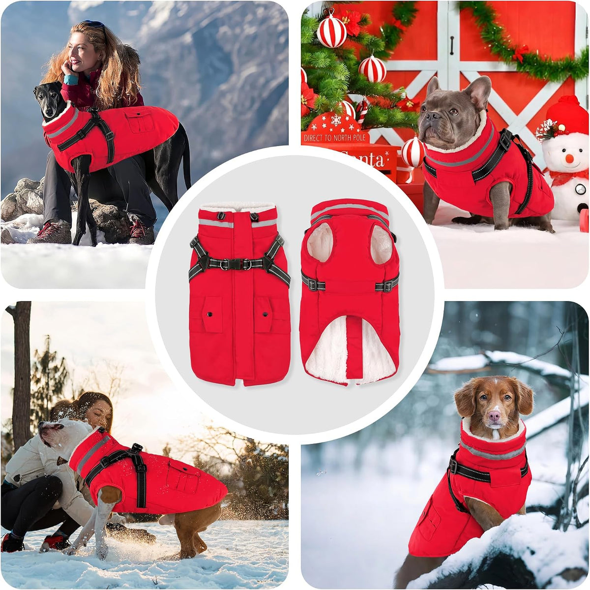 Dogcheer Dog Coat with Harness - Red / XXX-Large(Chest:42.9"Back:26.8" Neck:26.8") - image 2