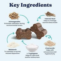 Solid Gold Calming Chews for Dogs - Dog Calming Chews w/Melatonin for Separation, Stress & Hyperactivity Relief - Supports Relaxation for Travel, Fireworks & Storms - All Ages & Sizes - Bacon 120ct