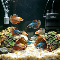 2 Pack Small Betta Log Resin Hollow Tree Trunk Ornament - Medium - image 2