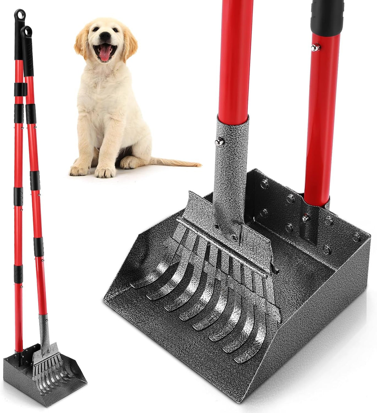 Pooper Scooper for Dogs, Sturdy Stainless Steel Rake & Tray Set – Essentials for Dogs