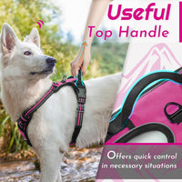 Eagloo Dog Harness for Large Dogs - X-large / Rose Red - image 4