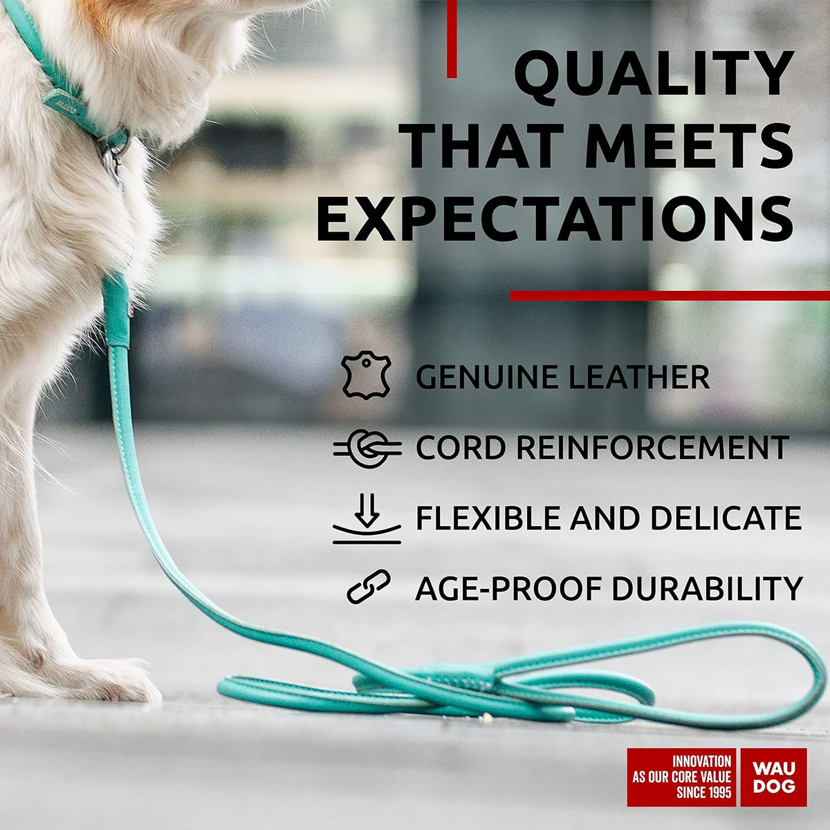 WAUDOG Rolled Leather Dog Leash 4Ft * 0.3 in for Small Medium - Mint / 4Ft * 0.4 in - image 3