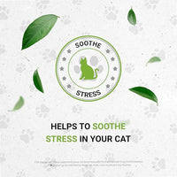 Lion's Anxiety | Natural Herbal Dietary Supplement for Cats | Support Stress Relief in Cats | Alcohol-Free Extract, Chamomile, Lemon Balm, Lavender, Linden, Fennel 2 oz