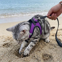 Cat Harness and Leash - Ultra Light Escape Proof Kitten Collar Cat Walking Jacket with Running - Purple / Large - image 4