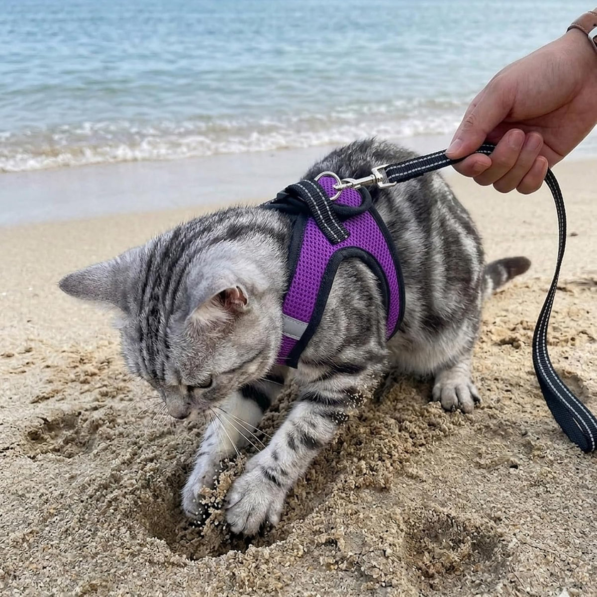 Cat Harness and Leash - Ultra Light Escape Proof Kitten Collar Cat Walking Jacket with Running - Purple / Large - image 4