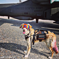 OneTigris Service Dog Vest Harness - M / Black - image 3
