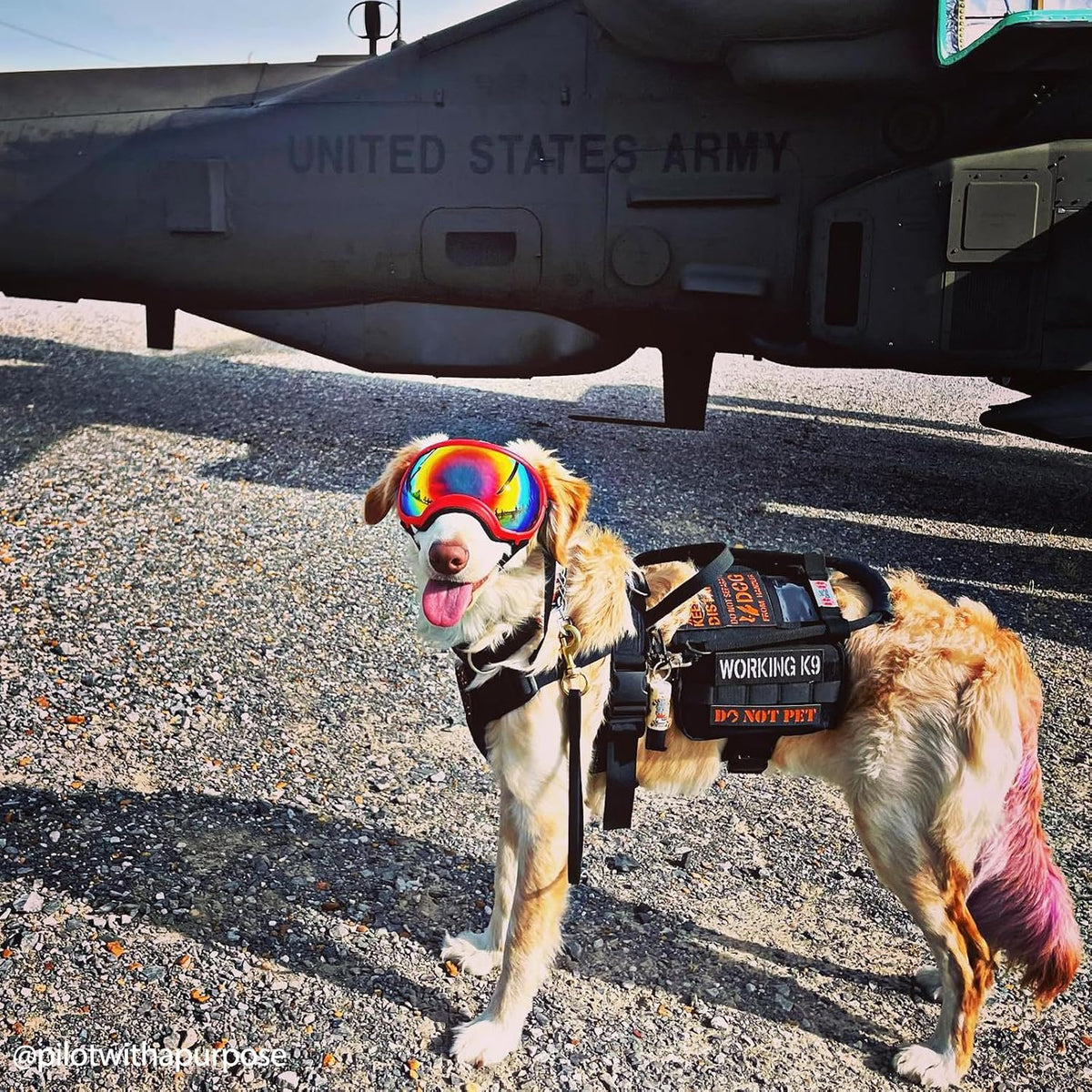OneTigris Service Dog Vest Harness - M / Black - image 3