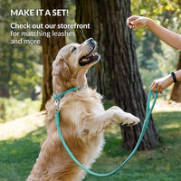 CollarDirect Rolled Leather Dog Collar, Soft Padded Round Puppy Collar, Handmade Genuine Leather Collar Dog Small Large Cat Collars 13 Colors (15-19 Inch, Mint Green Smooth)