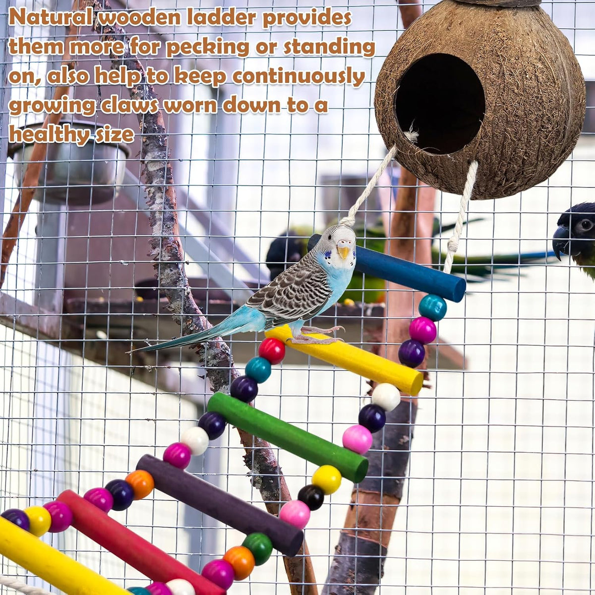 PINVNBY Coconut Bird Nest Hut with Ladder - Color ladder - image 4