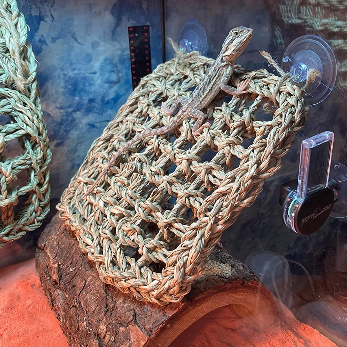 Reptile Hammock, Large Lizard Lounger - 【▲+▇+Green】 - image 4