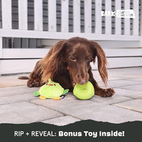 Barkbox Piper Parrot Dog Toy for Small Dogs, Perfect for Flipping Fun and Tearable Outer Layer with Bonus Toy Inside for Extra Playtime Excitement