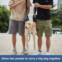 COODEO Dog Carry Sling, Emergency Backpack Pet Legs Support & Rehabilitation Dog Lift Harness - Blue / Large - image 2
