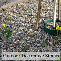 20lbs Natural Fish Tank Gravel,1/4 Inch Pea Gravel. Mixed Color River Rocks for Aquarium, Succulent, Vase, Cactus Bonsai, Plant Soil Cover and Outdoor Landscaping Rocks