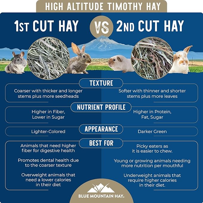 Blue Mountain Hay | Fresh 2nd Cutting Timothy Grass Hay (25 Pounds) | Soft & Leafy, Balanced Nutrition | High-Altitude Hay Pet Food for Adult Rabbits, Guinea Pigs, Chinchillas, and Other Small Pets