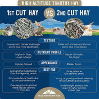 Blue Mountain Hay | Fresh 2nd Cutting Timothy Grass Hay (5 Pounds) | Soft & Leafy, Balanced Nutrition | High-Altitude Hay Pet Food for Adult Rabbits, Guinea Pigs, Chinchillas, and Other Small Pets