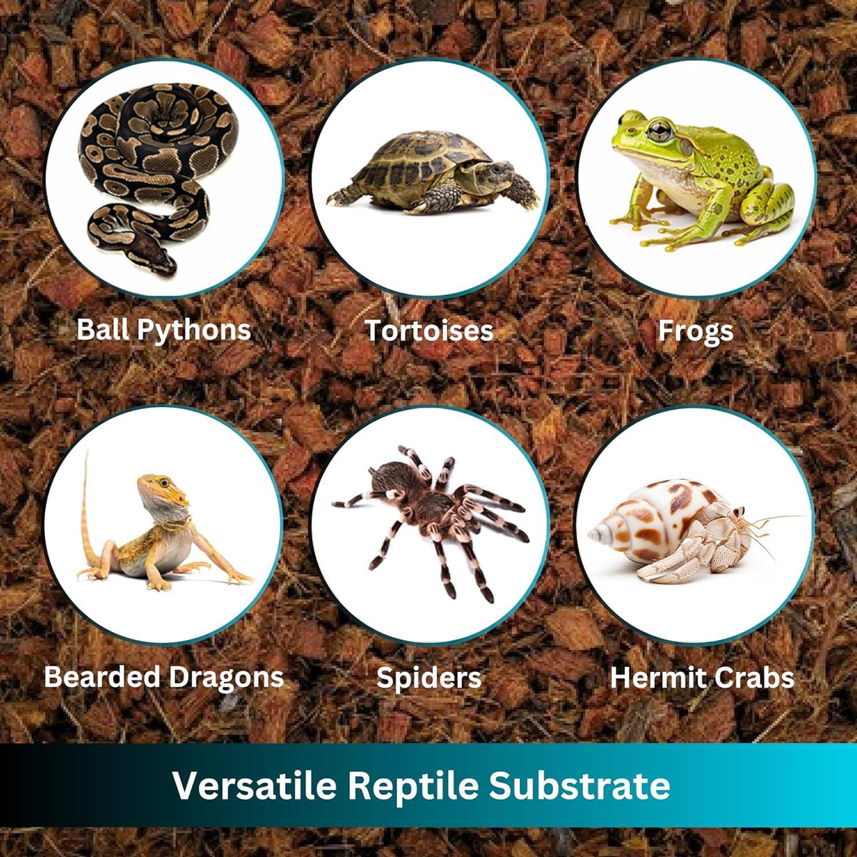 Premium Coconut Chip Substrate for Reptiles - image 4